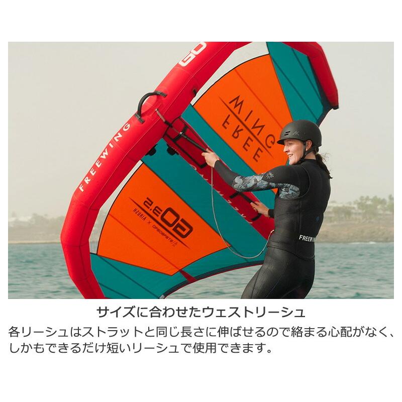 STARBOARD x AIRUSH スターボード エアラッシュ FREEWINGGO フリー