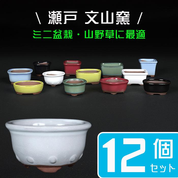 盆栽鉢 「瀬戸焼文山窯色小鉢12点セット」 植木鉢 色鉢 2号 5cm 可愛い
