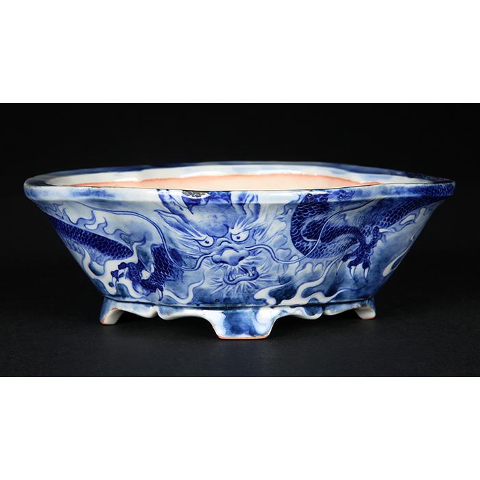 盆栽鉢 植木鉢 「玲雀染付龍図木瓜式鉢」 磁器 絵付鉢 現代小鉢作家展