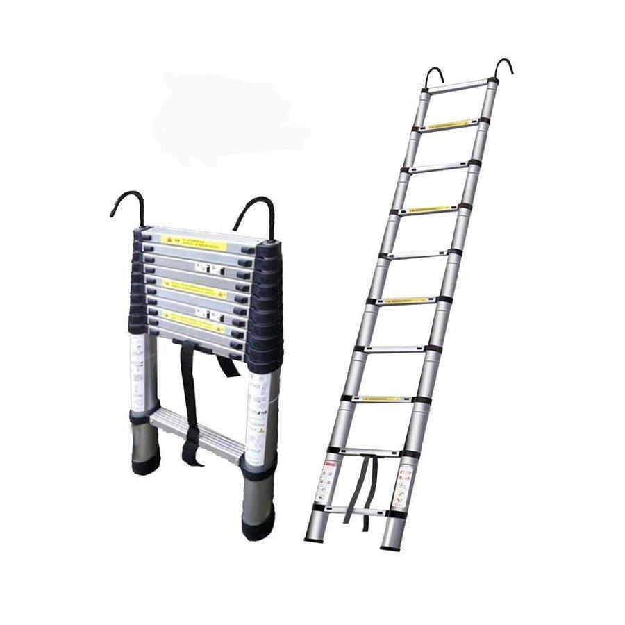 はしご 伸縮 5M ハシゴ 梯子 フック付き 耐荷重150kg スーパーラダー