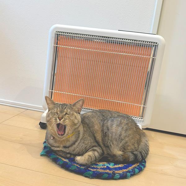 日本遠赤外線 【今だけ3900円OFF】サンルミエ・エクセラ7｜遠赤外線