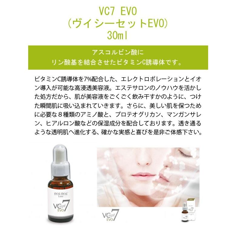 noa noa Luxe ノア ノア リュクス ヴイシーセットEVO 30ml