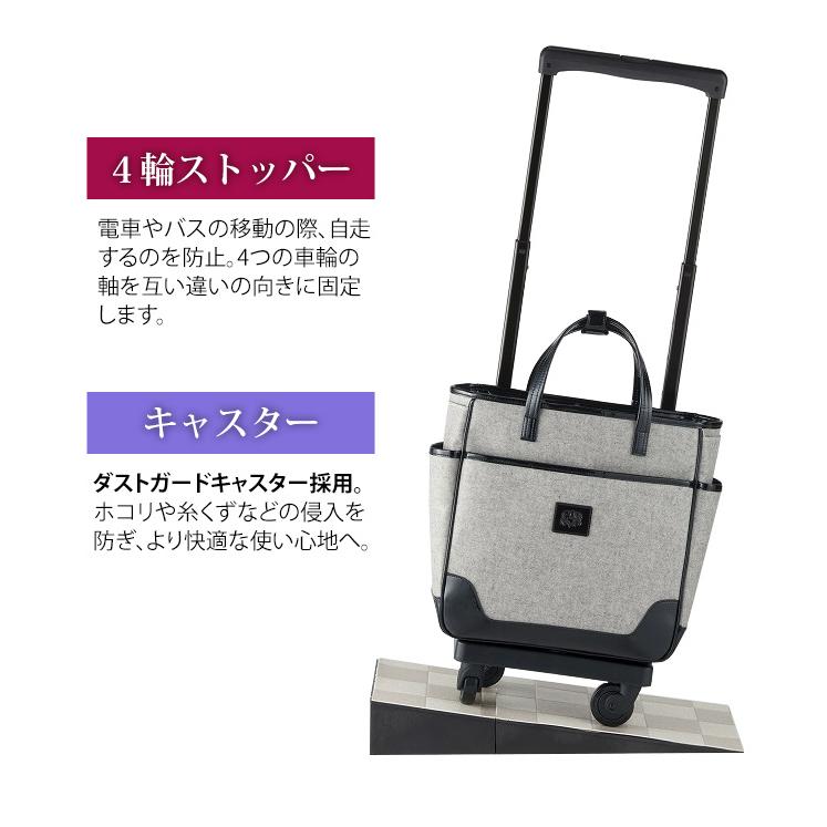 スワニー SWANY キャリーバッグ ショッピングカート 押しカート