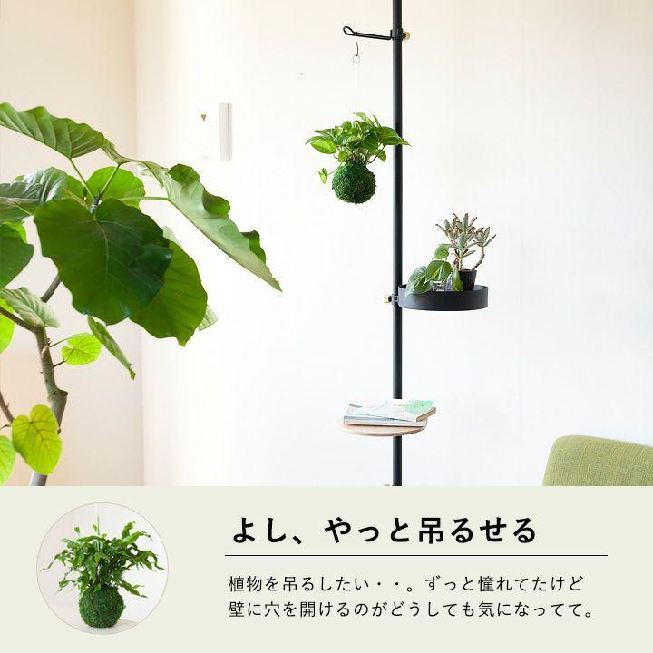 DRAW A LINE ドローアライン つっぱり棒 おしゃれ 伸縮 インテリア