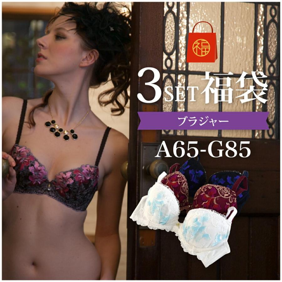 福袋 A65-G85 ワイヤーブラ おまかせ3点セット 送料無料 女性 下着
