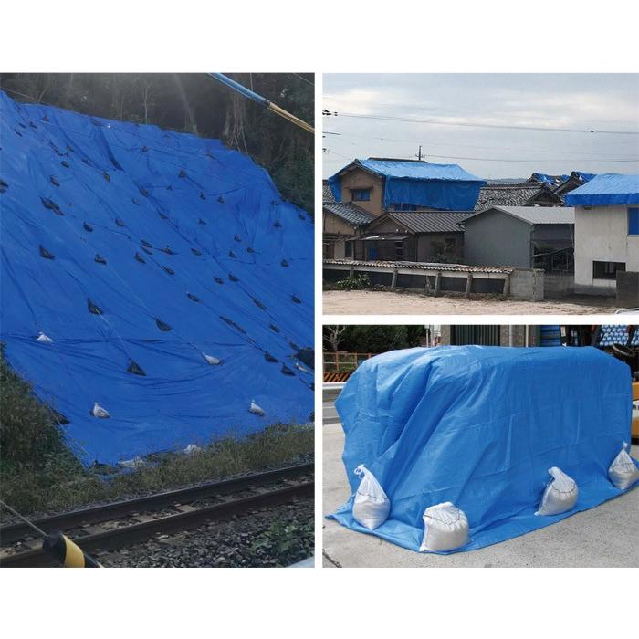 ブルーシート #3000 厚手 10m×10m 1枚単位 防水 丈夫 ハトメ 補強 養生