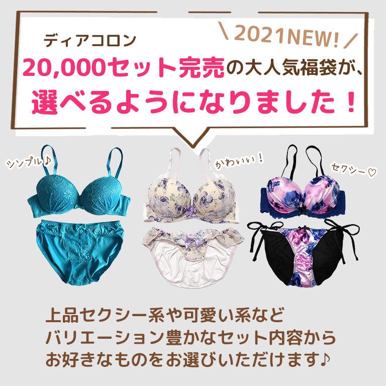 下着女性 上下セット ブラジャー ショーツセット 5点入り 福袋