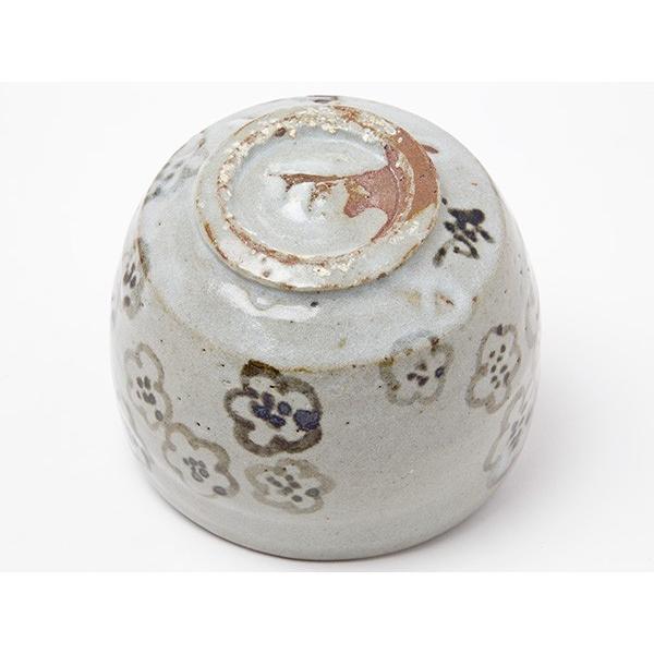 送料無料】荒川武夫 作 虎渓山 水月窯 粉吹風茶碗/お茶のふじい・藤井