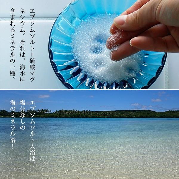 メール便】入浴剤 バスソルト エプソムソルト 4袋セット プチ ギフト