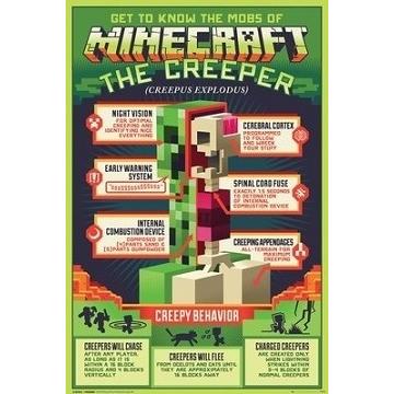 MINECRAFT マインクラフト 輸入ポスター 61cm x 91.5cm : Foursometoys