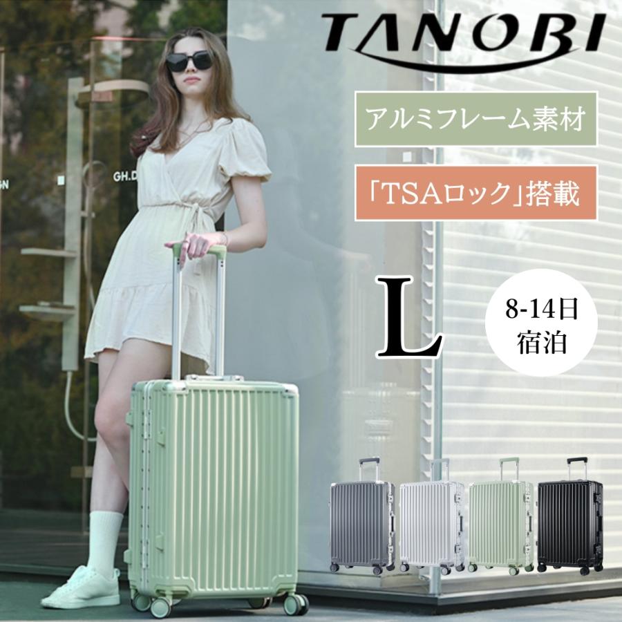 スーツケース Lサイズ キャリーケース TSAロック フレームタイプ