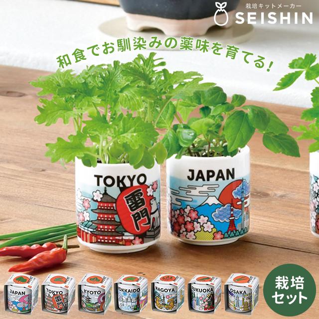 栽培キット 栽培セット 聖新陶芸 お芽でたおちょこ JAPAN GD-997