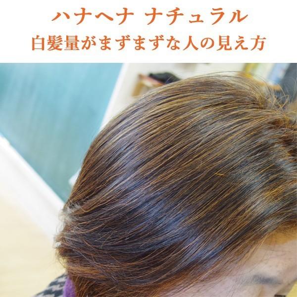 ヘナ ハナヘナ hana henna ヘナナチュラル&ハーバルブラウン 各100g 1
