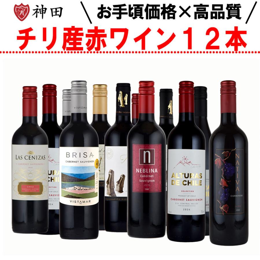 チリ産赤ワイン 12本 飲み比べセット 750ml×12本 ホワイトデー : 神田