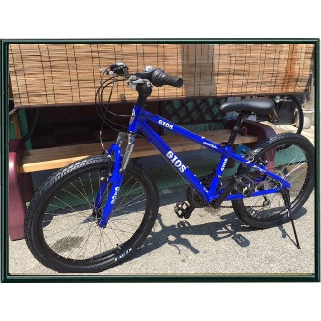 GIOS（ジオス） 子供用自転車 GENOVA 20インチ 子供用とは思えない