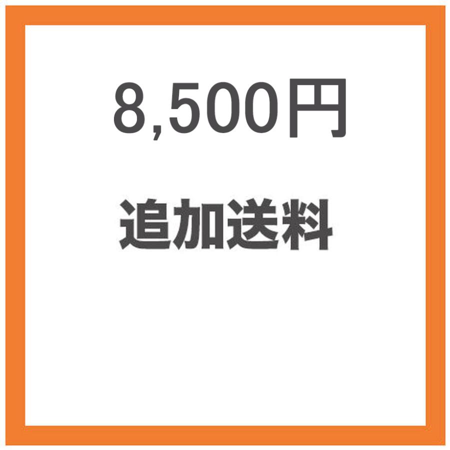 追加送料8500円分 : Carina ヤフーショップ - 通販 - Yahoo!ショッピング