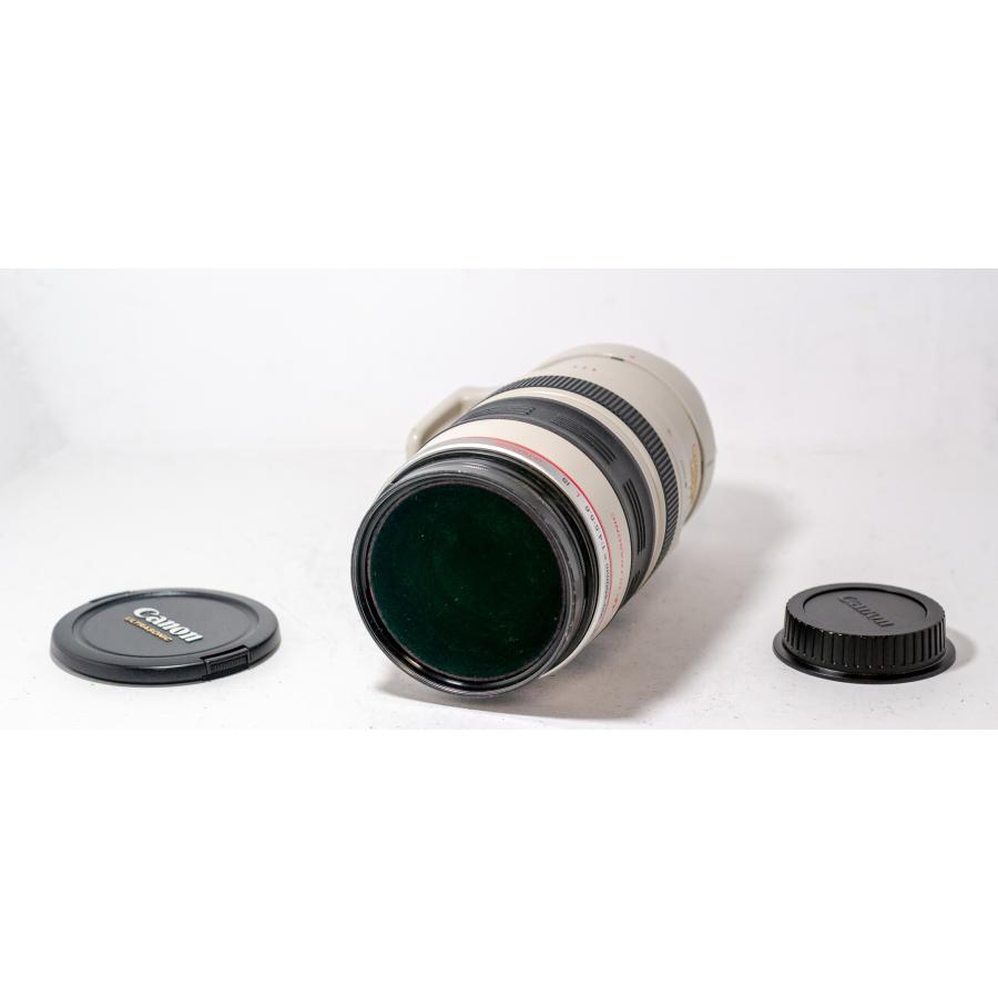 キヤノン（Canon） EF 100-400mm F4.5-5.6 L IS USM : ヒロヤヤフー店