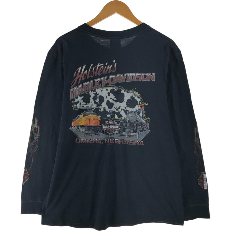 古着 00年代 ハーレーダビッドソン Harley-Davidson ファイヤー