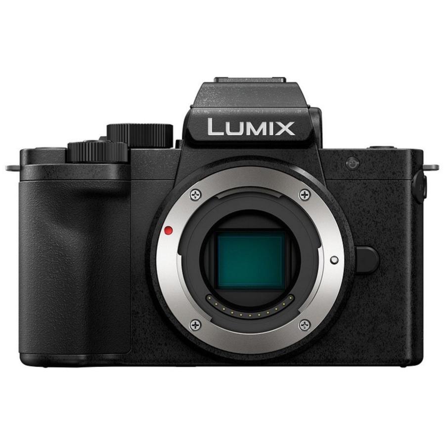 LUMIX Panasonic パナソニック ミラーレス一眼カメラ DC-G100D ボディ