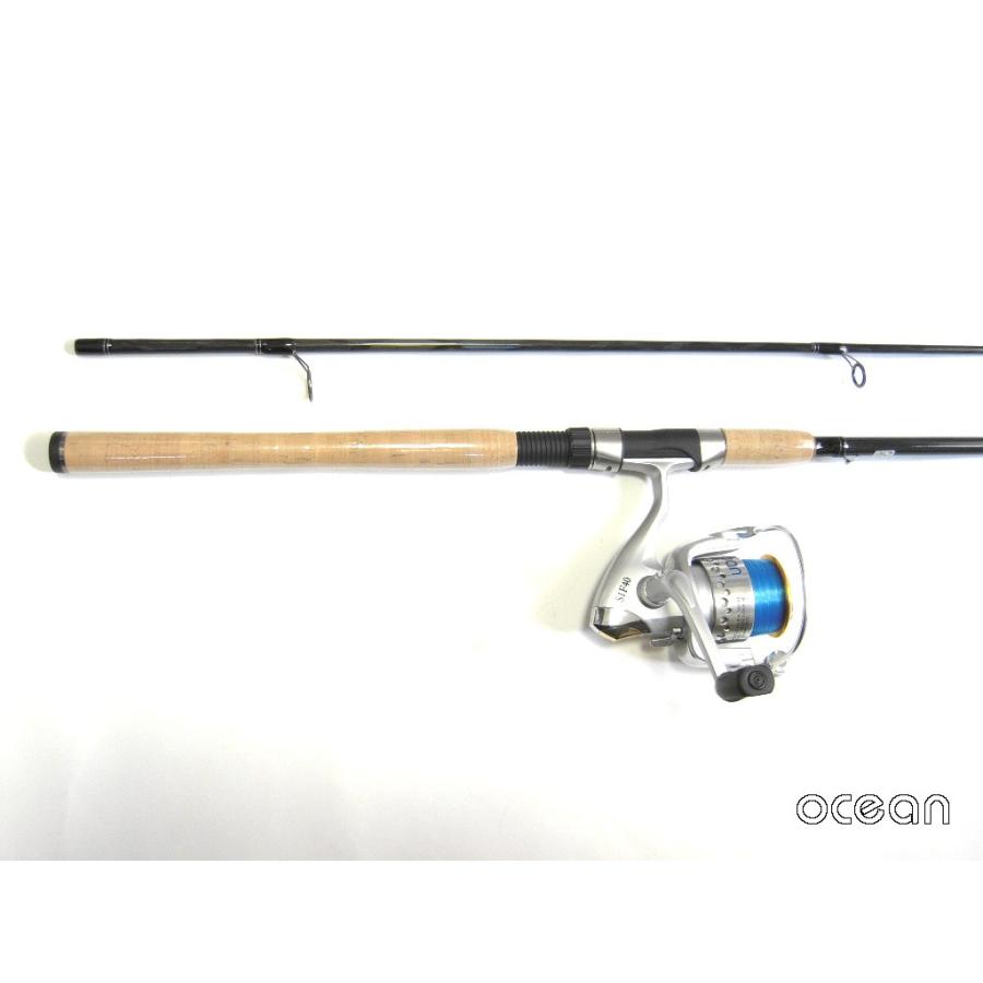 初心者 ヒラメ シーバス 青物 ルアー スピニングロッド 9Ft ＆ リール