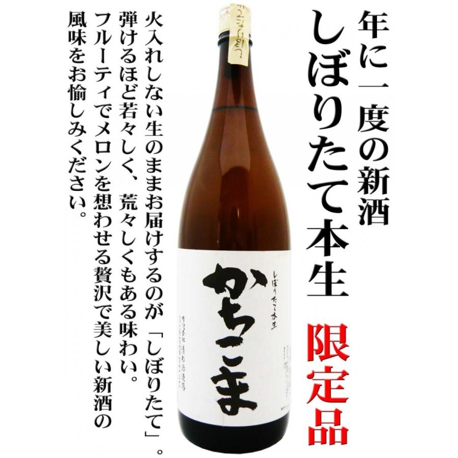 日本酒 勝駒 しぼりたて本生 新酒 1.8L （かちこま） 限定品 : 岡田屋