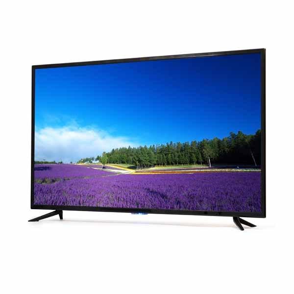 ティーズネットワーク 台数限定！ 55V型 4K対応 液晶テレビ LE