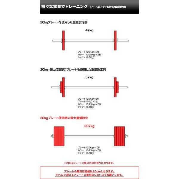 FIELDOOR（フィールドア） バーベル 用 プレート 20kg 2個セット