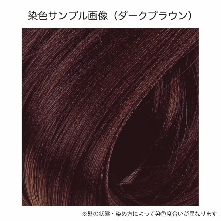 白髪染め ヘアカラーリングクリーム カラートリートメント ダーク