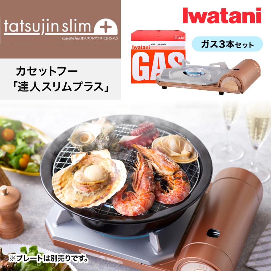 Iwatani（イワタニ） カセットコンロ 達人スリムプラス ガス3本付き