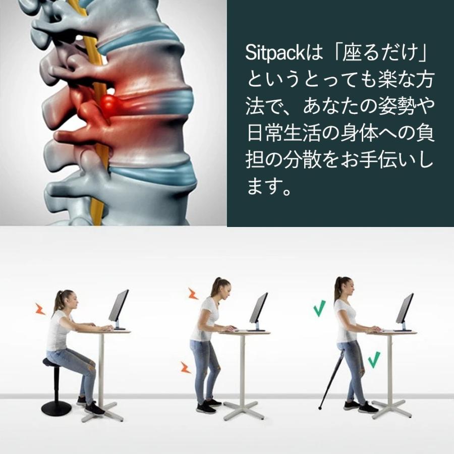 SITPACK ZEN X-IIモデル カーボンファイバー 超軽量 丈夫 持ち運び