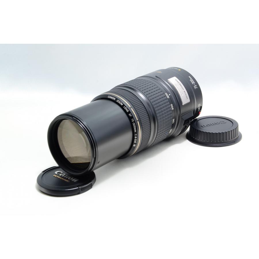 キヤノン（Canon） Canon EF 75-300mm F4-5.6 IS 美品 超望遠 ズーム