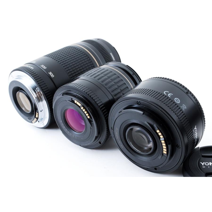 キヤノン（Canon） Canon EOS 6D Mark II 標準&超望遠＆単焦点トリプル