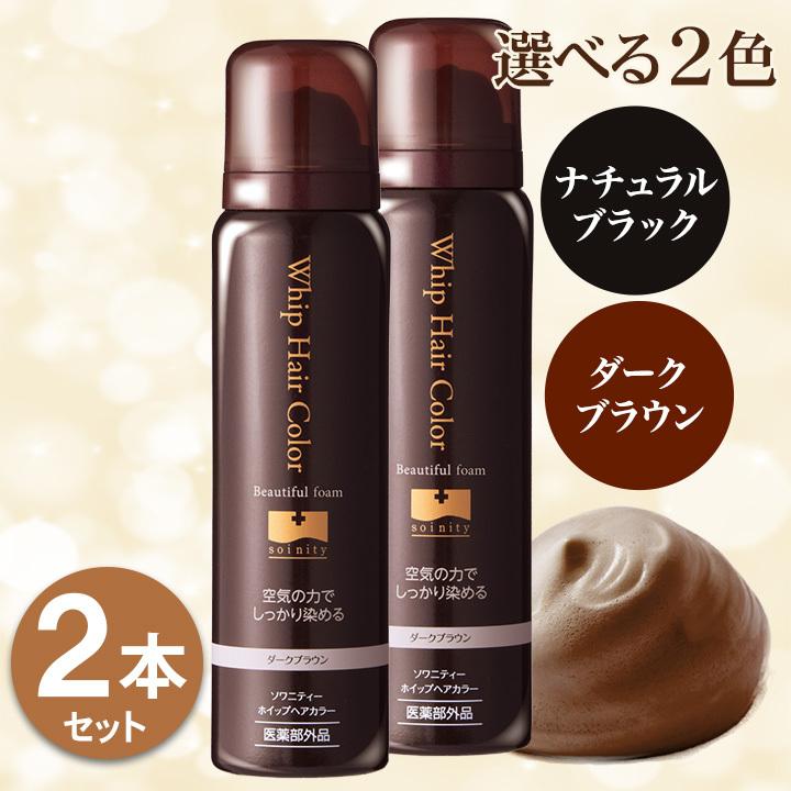 ソワニティー 白髪染め ホイップへアカラー 80g 2本セット 泡カラー