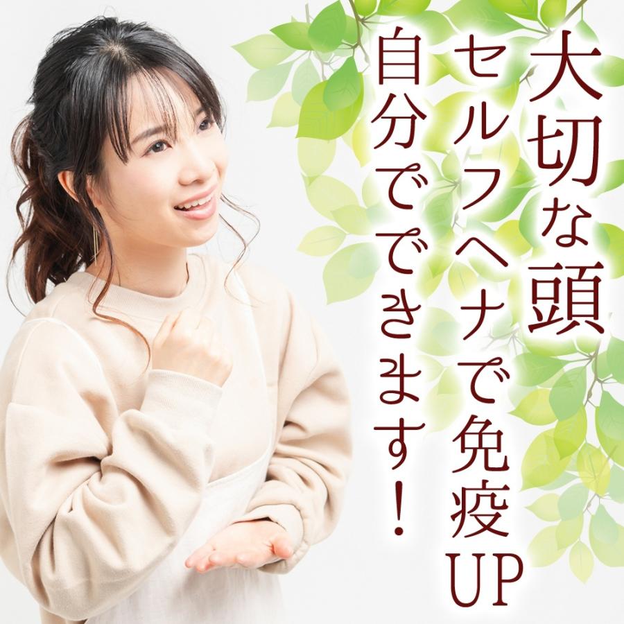 初めてのソジャットヘナに挑戦セット : NAOSHO - 通販 - Yahoo