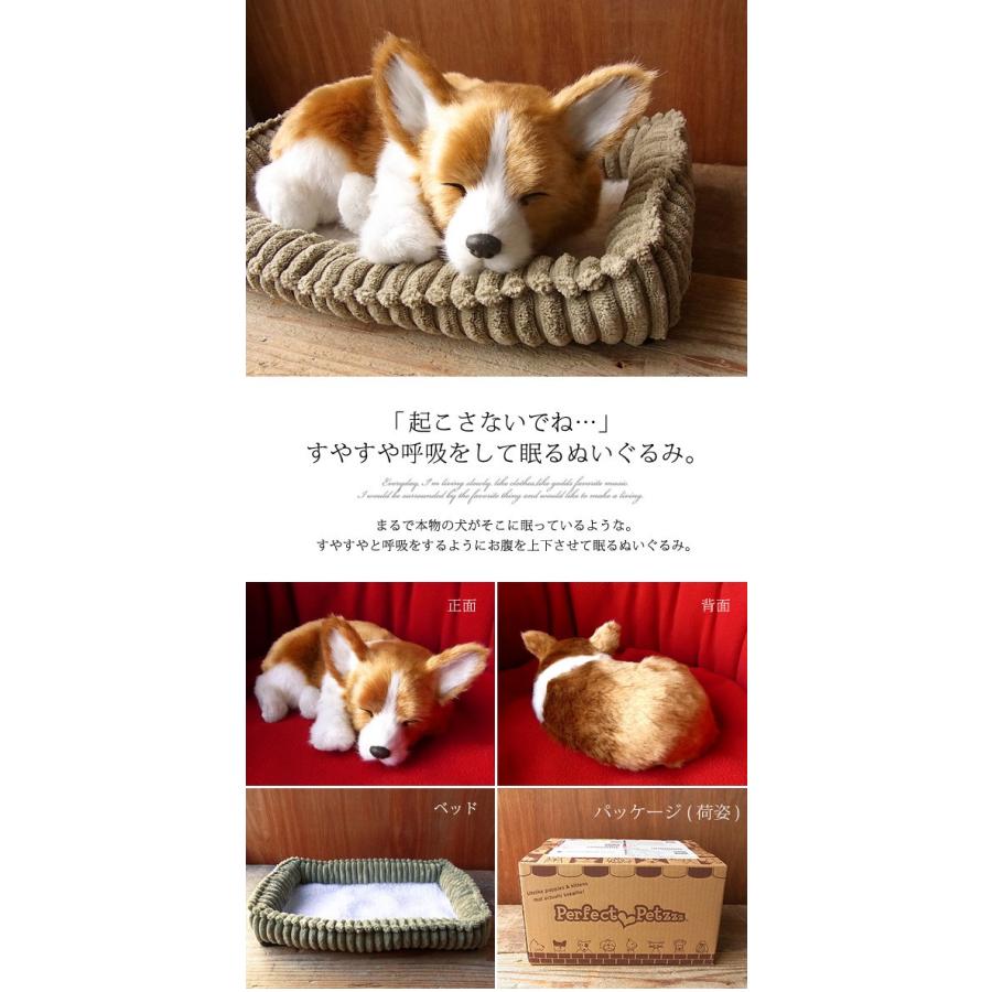 動くぬいぐるみ コーギー 約15cm 動くぬいぐるみ コーギー 約15cm 動く