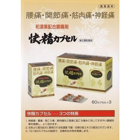 腰痛 関節痛 筋肉痛 神経痛 快精カプセル 和漢薬配合鎮痛剤 60カプセル