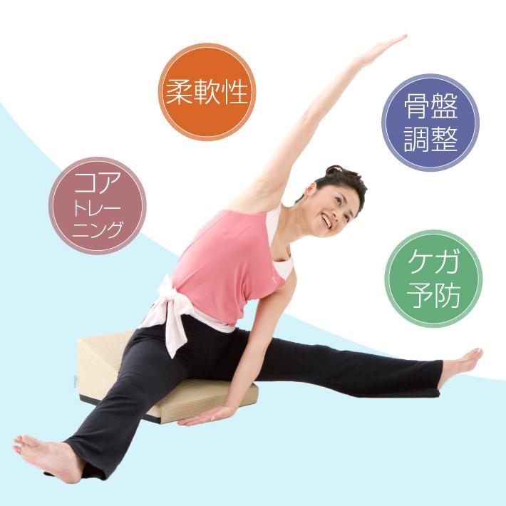 フレックスクッション : サンテプラスYahoo!店 - 通販 - Yahoo