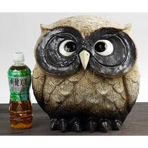 信楽焼 ふくろう 陶器 フクロウ 置物 かわいい おしゃれ ギフト 玄関