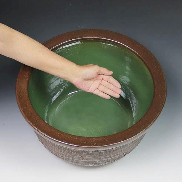 信楽焼 睡蓮鉢 メダカ鉢 おしゃれ めだか鉢 陶器 水鉢 ビオトープ