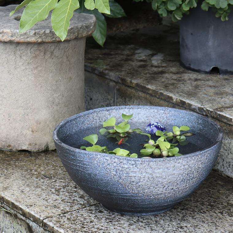 信楽焼 メダカ鉢 おしゃれ 水鉢 睡蓮鉢 陶器 めだか 金魚鉢 青 メダカ