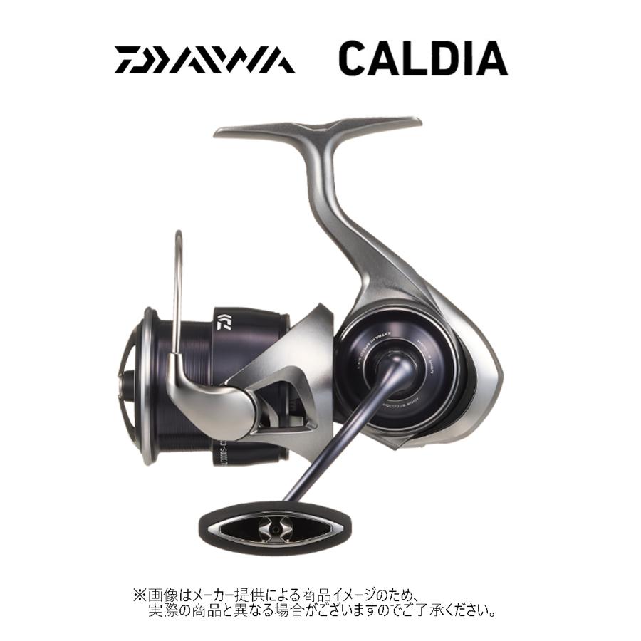 DAIWA（ダイワ） '25 CALDIA(カルディア) LT 3000S-CXH (スピニング