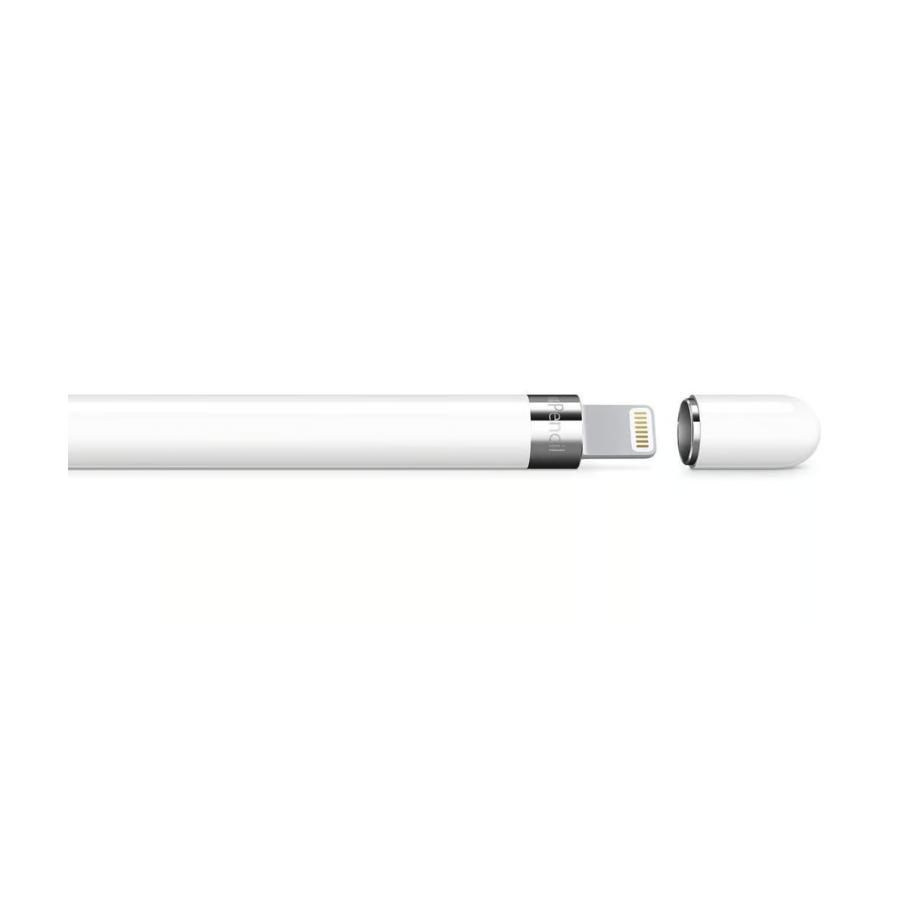 Apple Apple iPad アップル アイパッド Apple Pencil アップルペンシル