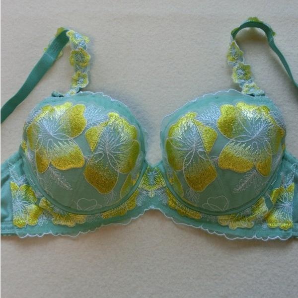 Triumph（トリンプ） セサ CC473 ブラジャー 緑G9【D65/E65】ミント
