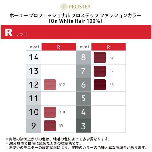 hoyu（ホーユー） プロフェッショナル プロステップ ファッション