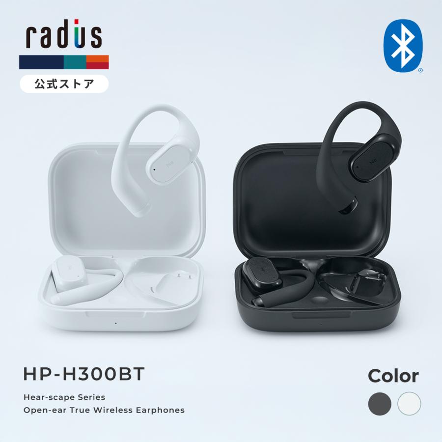 radius（ラディウス） radius HP-H300BT イヤーフック型完全ワイヤレス