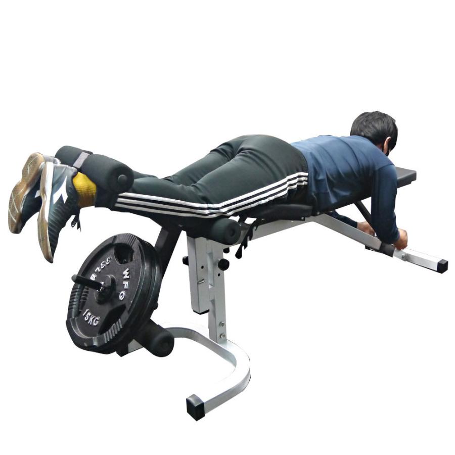 WILD FIT（ワイルドフィット） インクラインデクラインベンチ / インク