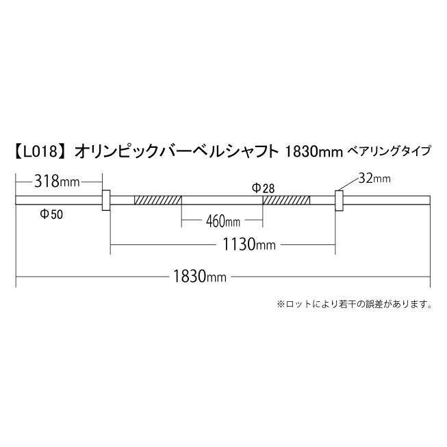 WILD FIT（ワイルドフィット） 2月中旬入荷予定 変更手数料