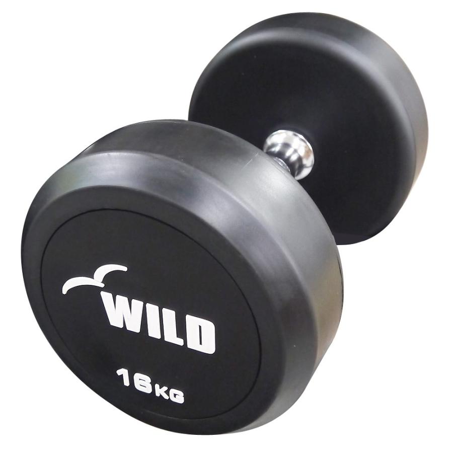 WILD FIT（ワイルドフィット） 固定式 ダンベル 16kg WF / ラバー ジム
