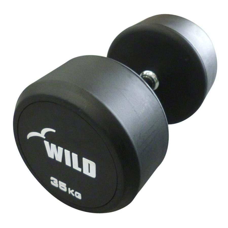 WILD FIT（ワイルドフィット） 固定式 ダンベル 35kg WF / 鉄アレイ