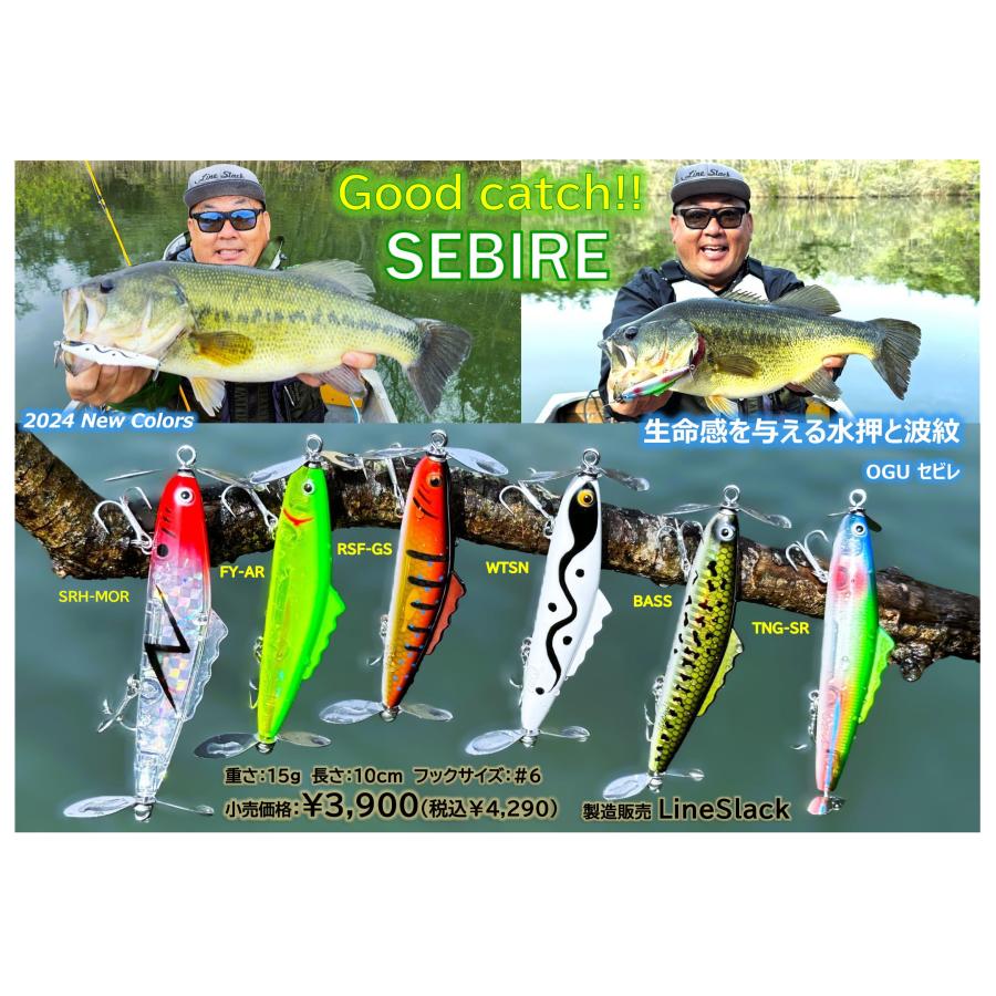 ラインスラックLineSlack セビレSEBIRE 2024年カラー : ウインズヤフー